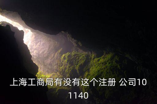 上海工商局有沒有這個注冊 公司101140