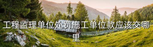 工程監(jiān)理單位處罰施工單位款應該交哪里