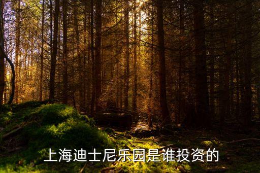  上海迪士尼樂園是誰(shuí)投資的