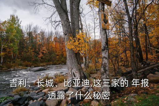 吉利、長(zhǎng)城、比亞迪,這三家的 年報(bào)透露了什么秘密