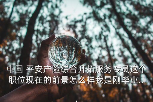 中國(guó) 平安產(chǎn)險(xiǎn)綜合開(kāi)拓服務(wù)專(zhuān)員這個(gè)職位現(xiàn)在的前景怎么樣我是剛畢業(yè)...