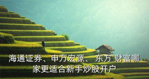 海通證券、申萬(wàn)宏源、 東方 財(cái)富哪家更適合新手炒股開(kāi)戶