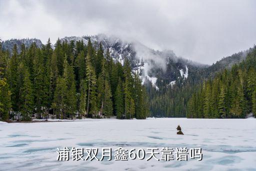 浦銀睿智基金,浦銀新經濟基金怎么樣