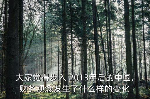 大家覺得步入 2013年后的中國(guó),財(cái)務(wù)觀念發(fā)生了什么樣的變化