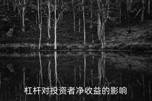 財務杠桿對投資者凈收益的影響