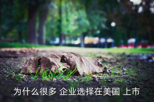 為什么很多 企業(yè)選擇在美國(guó) 上市