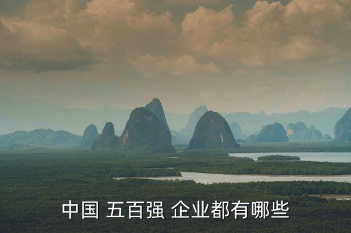 中國(guó) 五百強(qiáng) 企業(yè)都有哪些