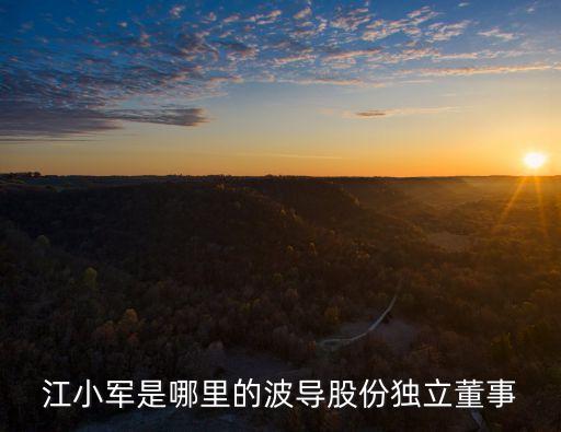 江小軍是哪里的波導股份獨立董事