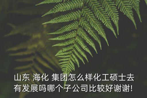  山東 ?；?集團怎么樣化工碩士去有發(fā)展嗎哪個子公司比較好謝謝!