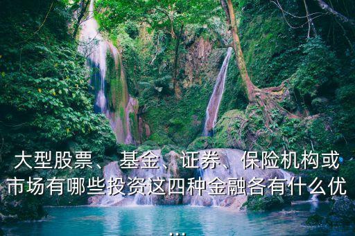 大型股票、 基金、證券、保險(xiǎn)機(jī)構(gòu)或市場(chǎng)有哪些投資這四種金融各有什么優(yōu)...