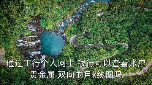 通過(guò)工行個(gè)人網(wǎng)上 銀行可以查看賬戶(hù)貴金屬 雙向的月k線(xiàn)圖嗎