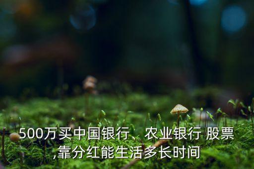 500萬買中國銀行、農業(yè)銀行 股票,靠分紅能生活多長時間