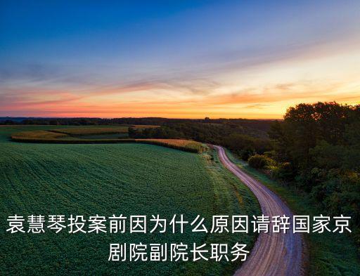 袁慧琴投案前因?yàn)槭裁丛蛘?qǐng)辭國(guó)家京劇院副院長(zhǎng)職務(wù)