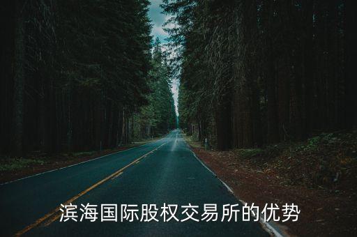  濱海國際股權交易所的優(yōu)勢