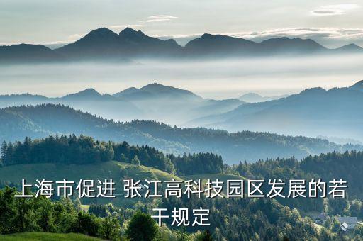 張江集團領(lǐng)導