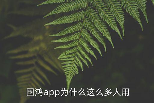  國(guó)鴻app為什么這么多人用