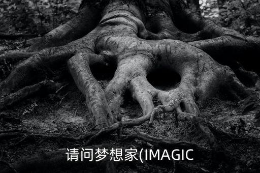 請(qǐng)問夢想家(IMAGIC