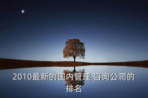 2010最新的國內管理 咨詢公司的排名