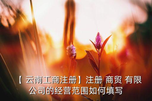 【 云南工商注冊(cè)】注冊(cè) 商貿(mào) 有限公司的經(jīng)營范圍如何填寫