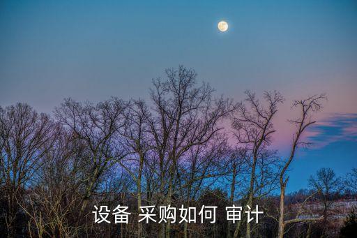 設備 采購如何 審計