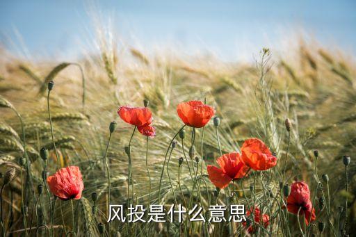 風投資金分兩次到賬