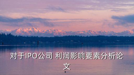 對(duì)于IPO公司 利潤(rùn)影響要素分析論文