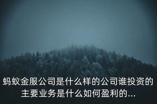 螞蟻金服公司是什么樣的公司誰(shuí)投資的主要業(yè)務(wù)是什么如何盈利的...