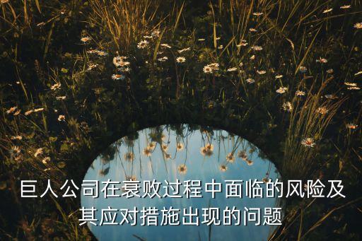  巨人公司在衰敗過程中面臨的風(fēng)險(xiǎn)及其應(yīng)對措施出現(xiàn)的問題