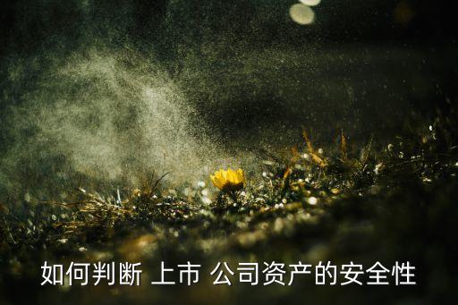 如何判斷 上市 公司資產(chǎn)的安全性