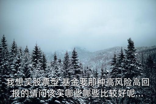 我想買股票型 基金要那種高風險高回報的請問該買哪些哪些比較好呢...