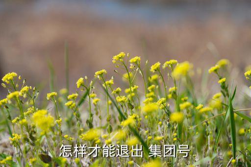 怎樣才能退出 集團號