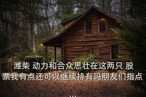  濰柴 動(dòng)力和合眾思壯在這兩只 股票我有點(diǎn)還可以繼續(xù)持有嗎朋友們指點(diǎn)...