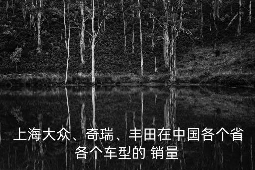  上海大眾、奇瑞、豐田在中國(guó)各個(gè)省各個(gè)車(chē)型的 銷(xiāo)量