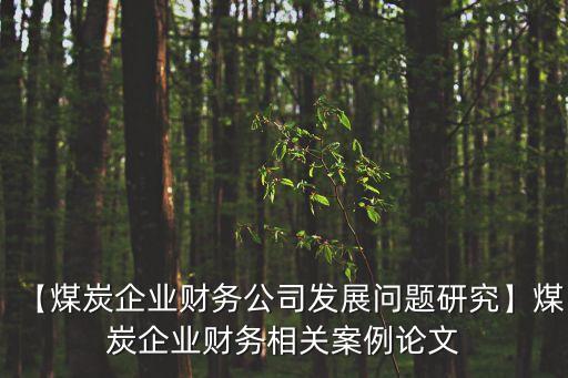 【煤炭企業(yè)財務公司發(fā)展問題研究】煤炭企業(yè)財務相關案例論文