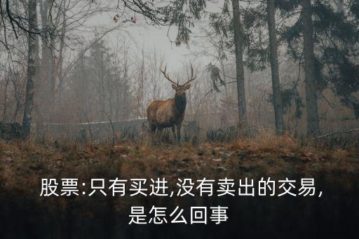  股票:只有買進,沒有賣出的交易,是怎么回事
