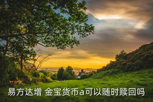 易方達增 金寶貨幣a可以隨時贖回嗎