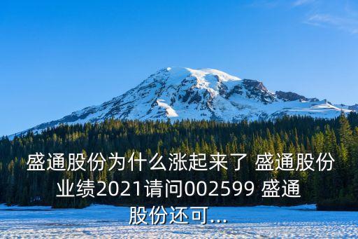  盛通股份為什么漲起來了 盛通股份業(yè)績(jī)2021請(qǐng)問002599 盛通股份還可...