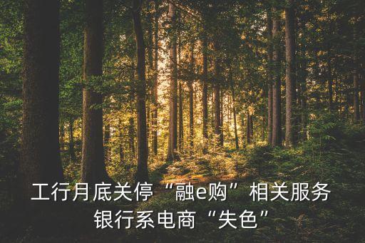  工行月底關(guān)?！叭趀購”相關(guān)服務(wù) 銀行系電商“失色”