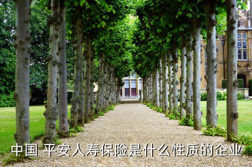 中國(guó) 平安人壽保險(xiǎn)是什么性質(zhì)的企業(yè)