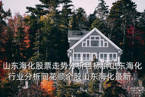 山東?；善弊邉?shì)分析目標(biāo)價(jià)山東海化行業(yè)分析同花順個(gè)股山東?；钚?..