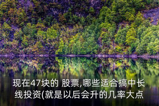 現(xiàn)在47塊的 股票,哪些適合搞中長線投資(就是以后會(huì)升的幾率大點(diǎn)