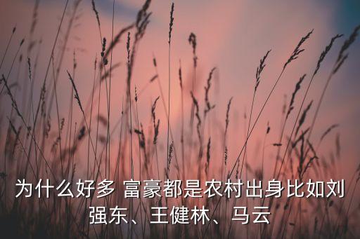 為什么好多 富豪都是農(nóng)村出身比如劉強(qiáng)東、王健林、馬云