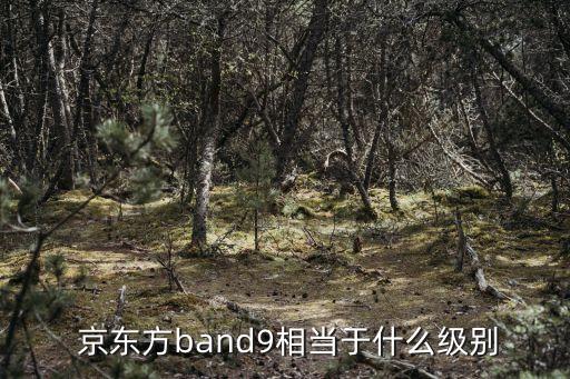  京東方band9相當于什么級別