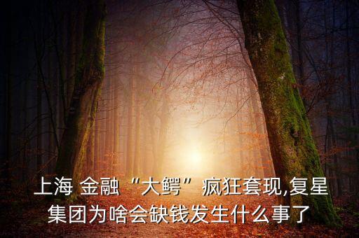  上海 金融“大鱷”瘋狂套現,復星集團為啥會缺錢發(fā)生什么事了