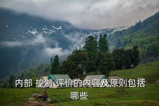  內(nèi)部 控制 評(píng)價(jià)的內(nèi)容及原則包括哪些
