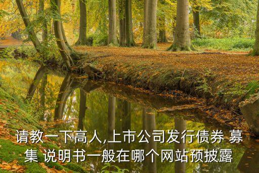 請教一下高人,上市公司發(fā)行債券 募集 說明書一般在哪個(gè)網(wǎng)站預(yù)披露