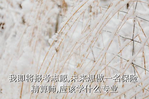 我即將報(bào)考志愿,未來想做一名保險(xiǎn) 精算師,應(yīng)該學(xué)什么專業(yè)