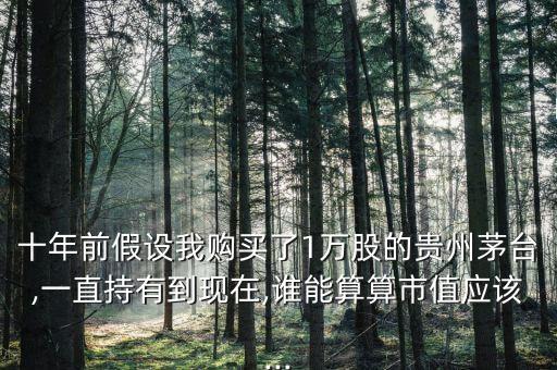 十年前假設(shè)我購買了1萬股的貴州茅臺(tái),一直持有到現(xiàn)在,誰能算算市值應(yīng)該...