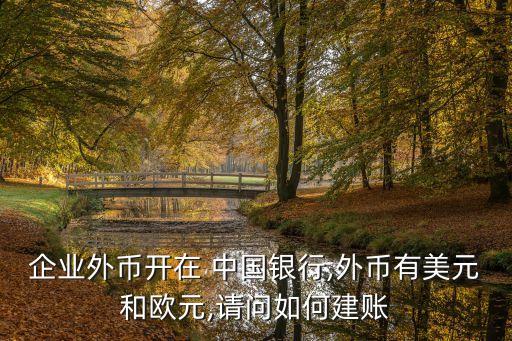 企業(yè)外幣開(kāi)在 中國(guó)銀行,外幣有美元和歐元,請(qǐng)問(wèn)如何建賬