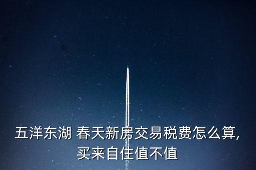 五洋東湖 春天新房交易稅費(fèi)怎么算,買來自住值不值